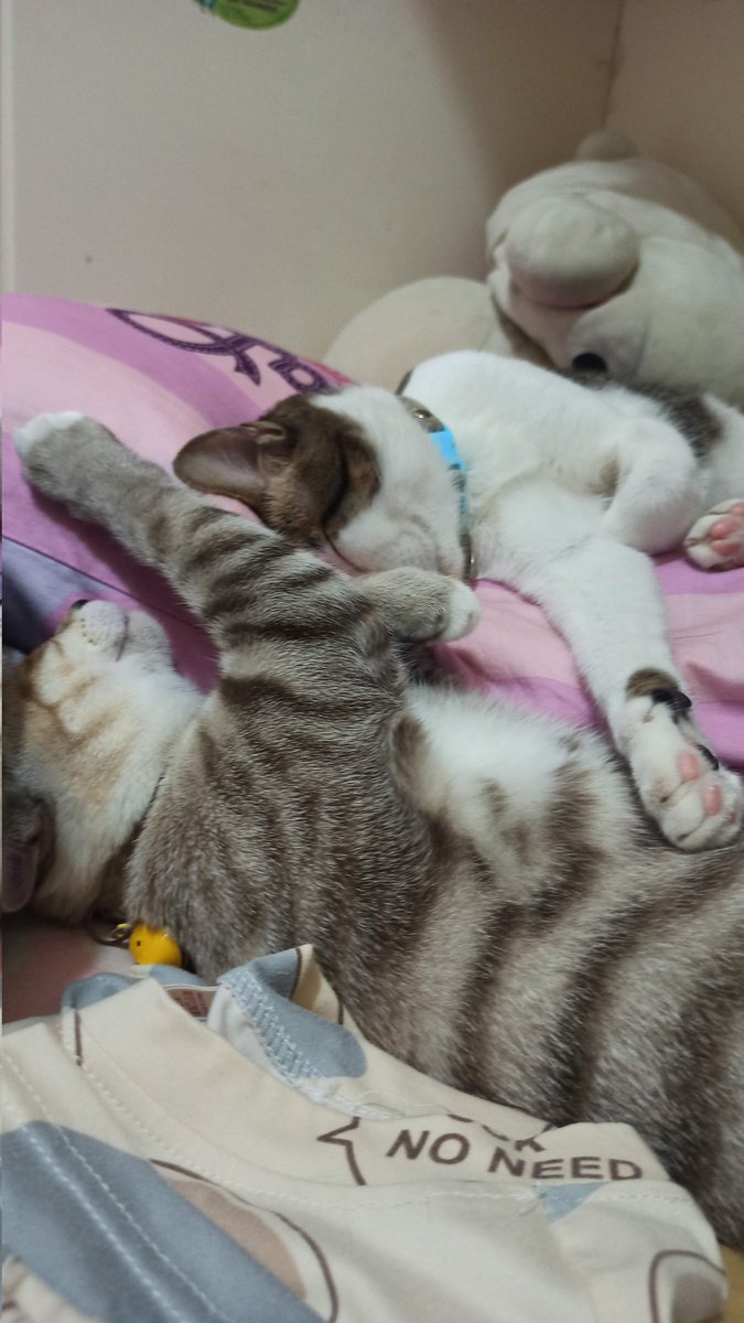 gn my friend :3