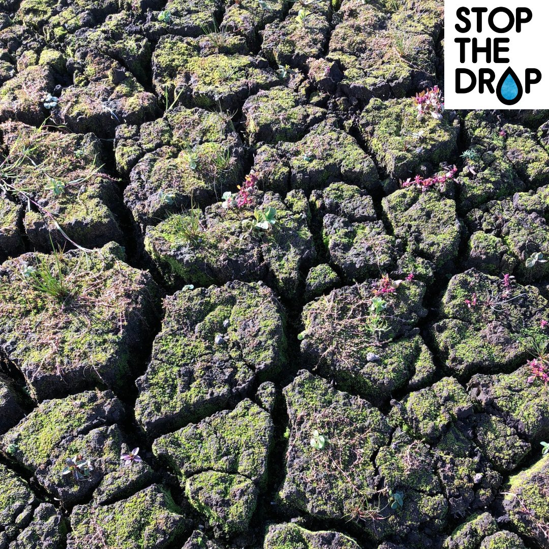 SouthWestWater's tweet photo. These recent pics from Stithians are shocking, but reality.

We need your help. Small steps make a big difference - we can all work together to Stop the Drop and protect our water 💦

Check out our easy tips to save water at home ⤵️
https://t.co/slnW4FVZnI

📸 Sharon Watts https://t.co/oveGKioE2d