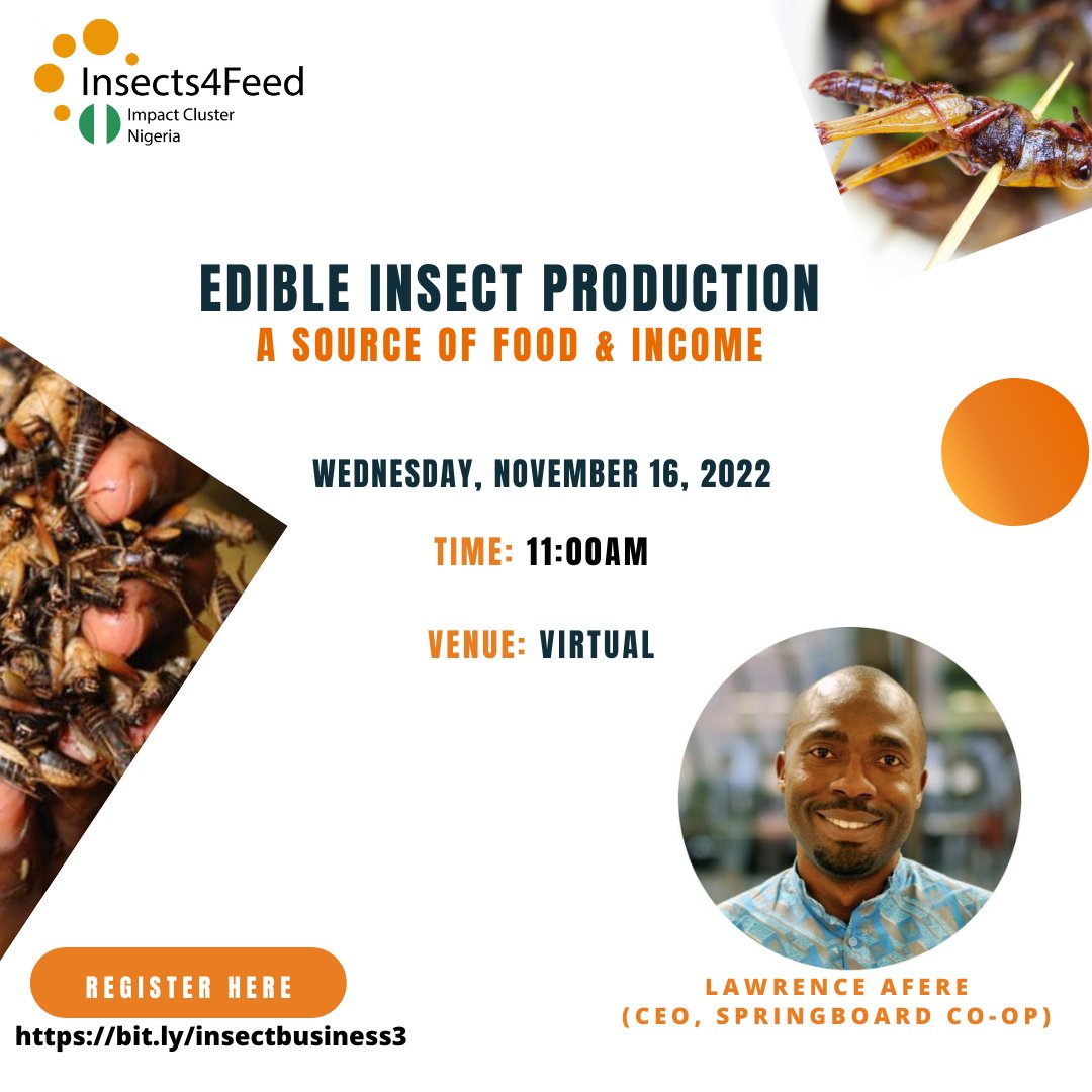 insects4feed's tweet image. Insects are not just used for feed but for #food too. Yes, #insects are edible. Join us at this event as we host Lawrence Afere (CEO, @Springboardnig2) to discuss #opportunities in edible insect #production.

Register Here to Attend this Virtual Event: bit.ly/insectbusiness3