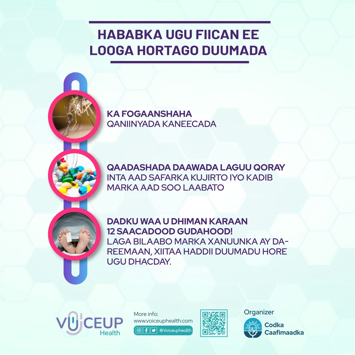 Voiceupltd's tweet photo. Wax ka ogow cudurka Duumada ama Malaariyada
waxa sababa, Calaamadaha &amp; ka hortaggeeda.
#Sare u qadista wacyigalinta Caafimaadka.

#Codka Cafimaadka 
#Voiceup Health
@MoH_Somalia 
@WHOSom https://t.co/bVdmUkCKSJ
