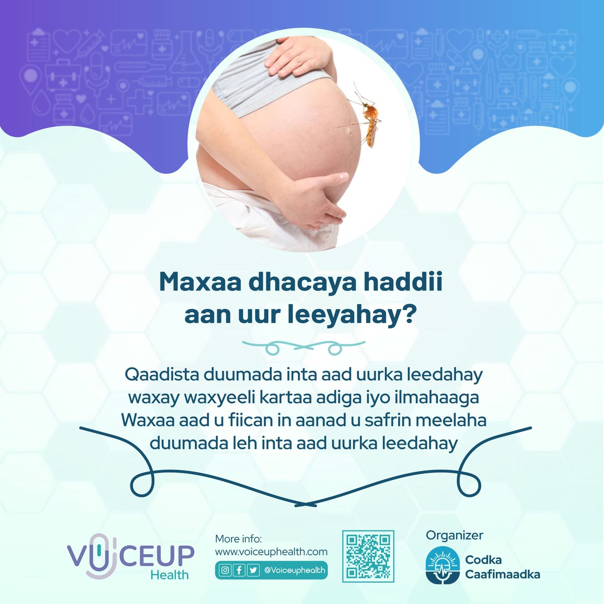 Voiceupltd's tweet photo. Wax ka ogow cudurka Duumada ama Malaariyada
waxa sababa, Calaamadaha &amp; ka hortaggeeda.
#Sare u qadista wacyigalinta Caafimaadka.

#Codka Cafimaadka 
#Voiceup Health
@MoH_Somalia 
@WHOSom https://t.co/bVdmUkCKSJ