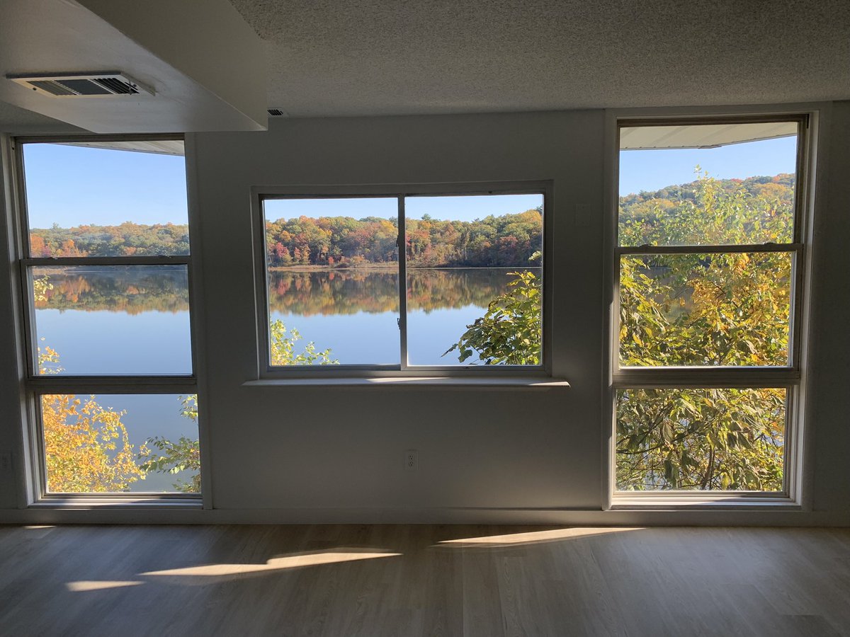 mike lasagna tweet media