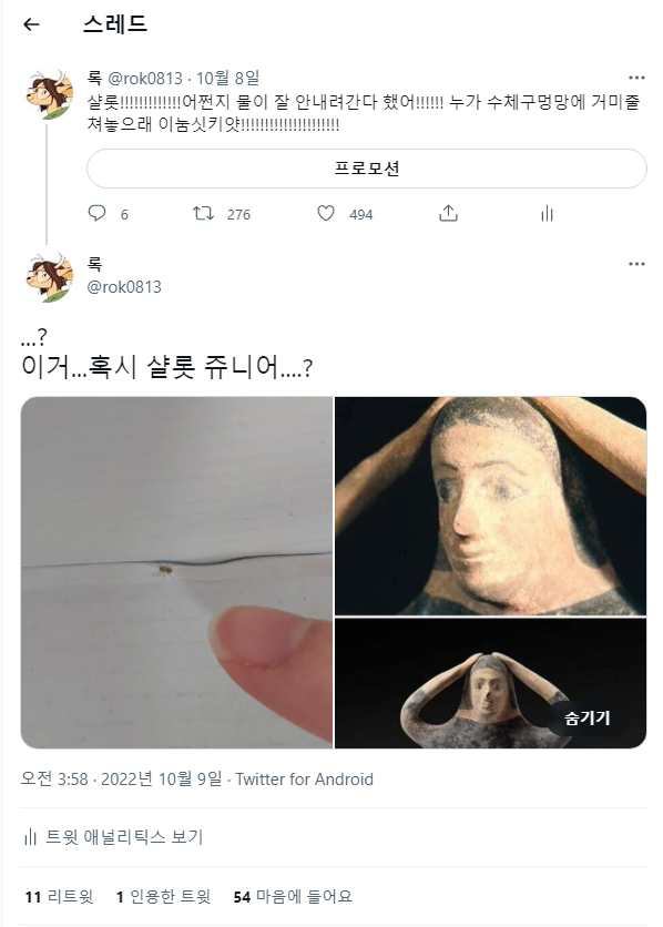 rok0813's tweet photo. ...워낙 많은 관심을 받았던 터라...
관심 주셨던 분들도
샬롯의 마지막 이야기를 아셔야 할 것 같아서...
저도 샬롯을 추억할 겸 있었던 일
전부 정리해서 올립니다...(feat.트친님)
샬롯 미안해 진짜 고의가 아니었어... https://t.co/C41gYAh9bH