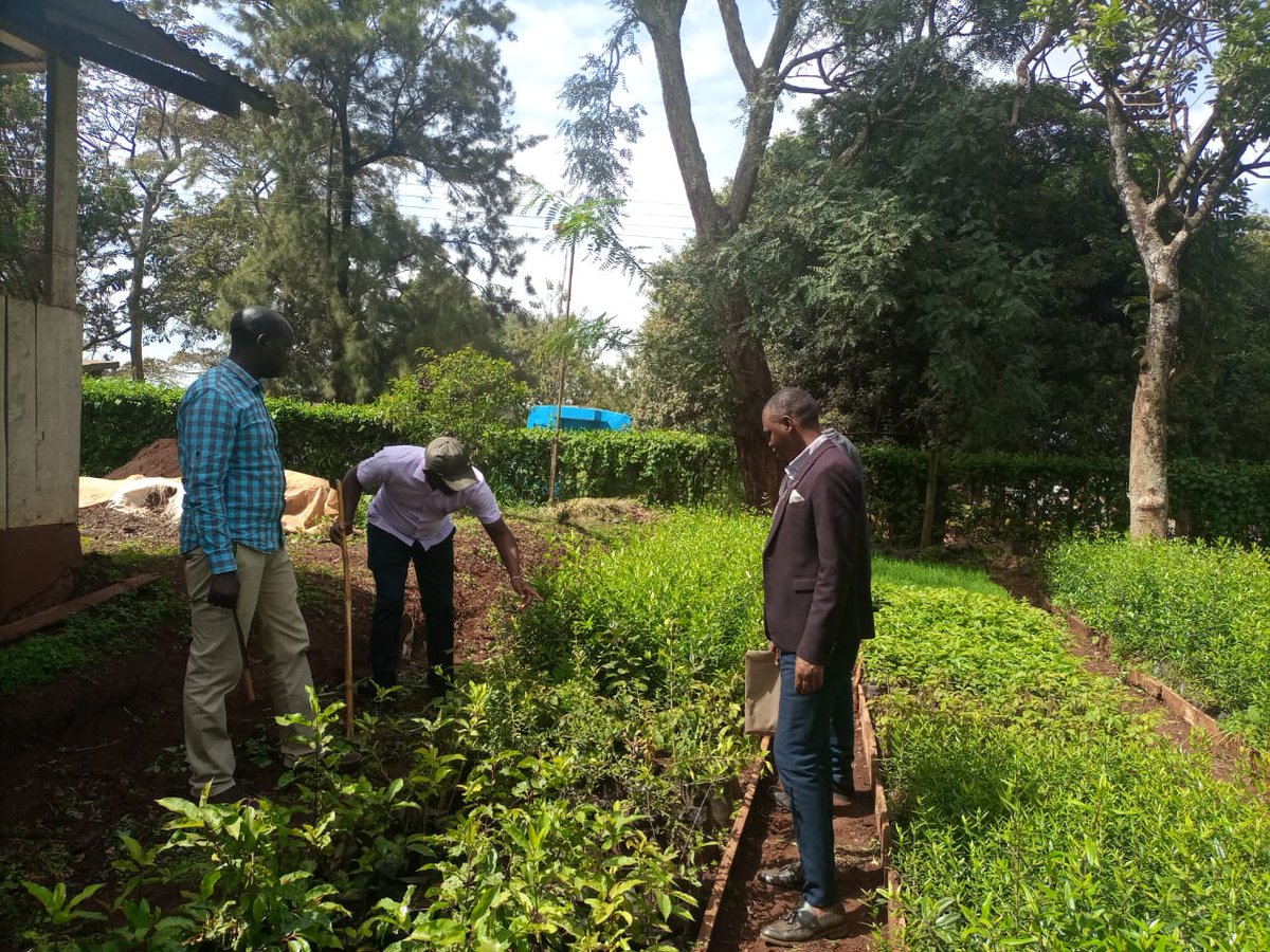 KenyaCIC's tweet photo. Transfo green world is an organization that champions the conservation, restoration, protection and rehabilitation of the environment by creating awareness on tree planting. Transfo was one of the enterprises that received capacity-building training under the #GrEYAP programme... https://t.co/X0OPt2Xa5u