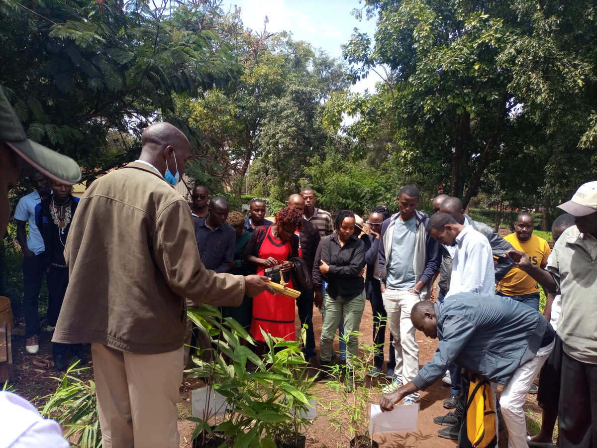KenyaCIC's tweet photo. Transfo green world is an organization that champions the conservation, restoration, protection and rehabilitation of the environment by creating awareness on tree planting. Transfo was one of the enterprises that received capacity-building training under the #GrEYAP programme... https://t.co/X0OPt2Xa5u
