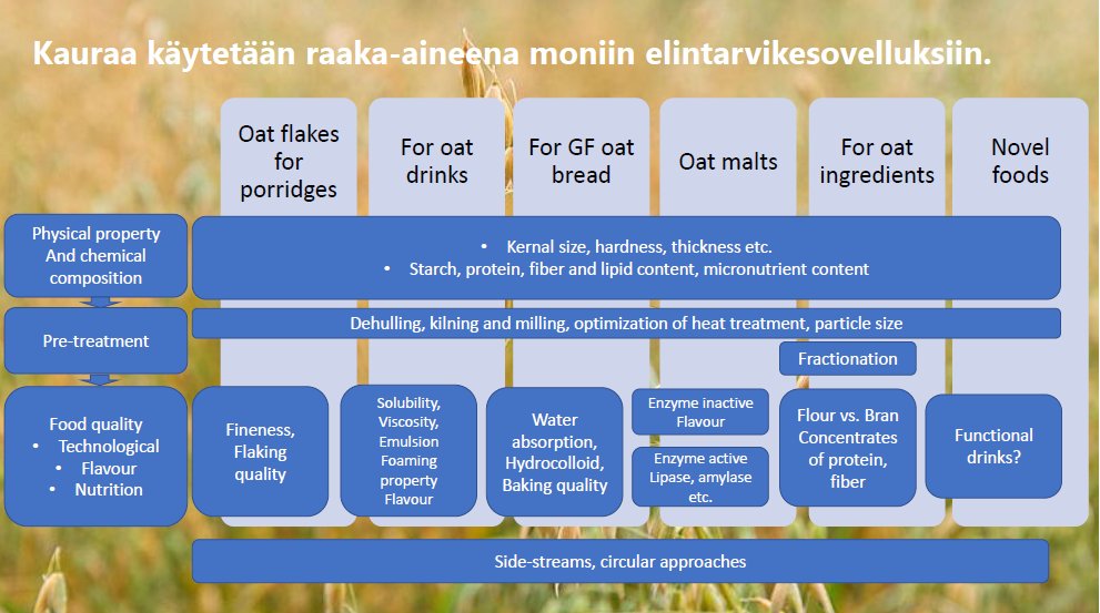 Which oat varity is suitatable for oat milks and which for oat beer? More research is needed. Welcome to join project proposal: Co-creating high-quality Finnish oats - from field to table. contact #sirjaviitala #lidijabitz