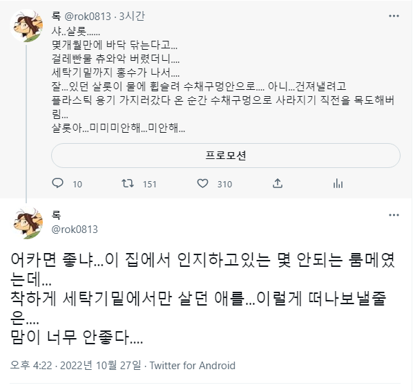 rok0813's tweet photo. ...워낙 많은 관심을 받았던 터라...
관심 주셨던 분들도
샬롯의 마지막 이야기를 아셔야 할 것 같아서...
저도 샬롯을 추억할 겸 있었던 일
전부 정리해서 올립니다...(feat.트친님)
샬롯 미안해 진짜 고의가 아니었어... https://t.co/C41gYAh9bH