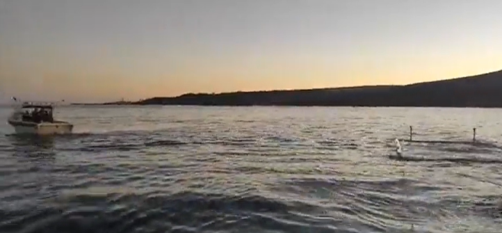 KennedyCreek1's tweet photo. In April 2021 the #ChannelHoppers swam from the mainland to #KangarooIsland - lots of timelapse footage collected and finally able to get to processing it (been busy). Stay tuned for the review of the journey across and back! (Wont finish for a few weeks as got a bit to process) https://t.co/aa4U6jhKBH