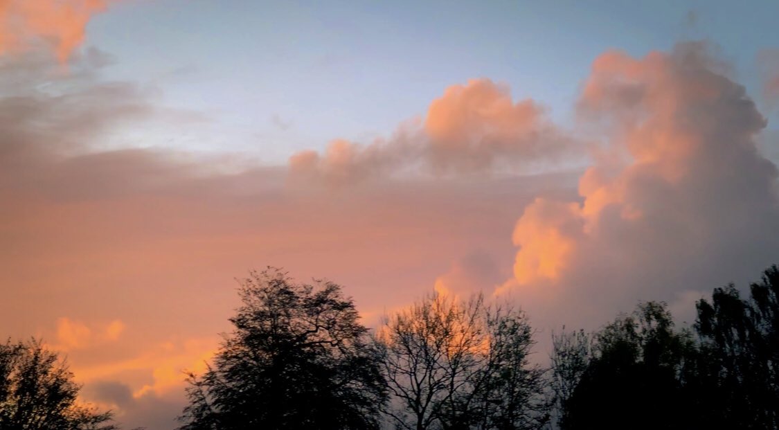 Natasha Roberts Imagery tweet media