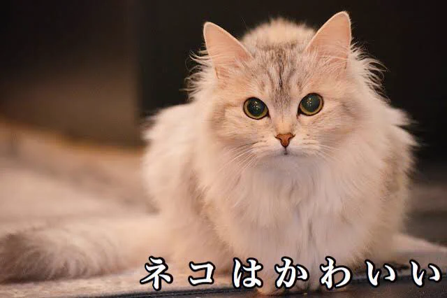 共感すること間違いなし！『Twitterを長年やってわかったこと』
