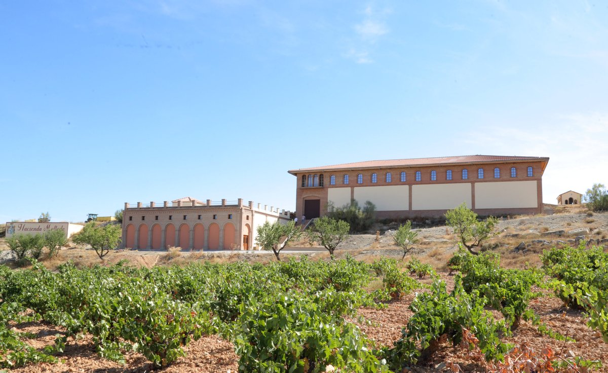 vino_piedras's tweet photo. 3⃣ La bodega @HACIENDAMOLLEDA está diseñada en dos niveles, de manera que en el proceso de elaboración del vino se aprovecha la gravedad. Su arquitectura nos recuerda al mudéjar y las vistas desde la terraza son de las más espectaculares de la #DOPCariñena

#SomosCariñena https://t.co/Sr9wGo2N4W