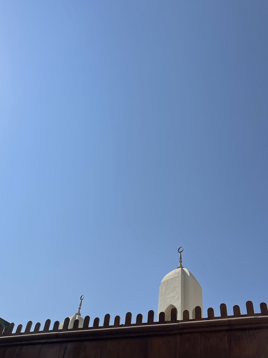 Maeve Madden tweet media