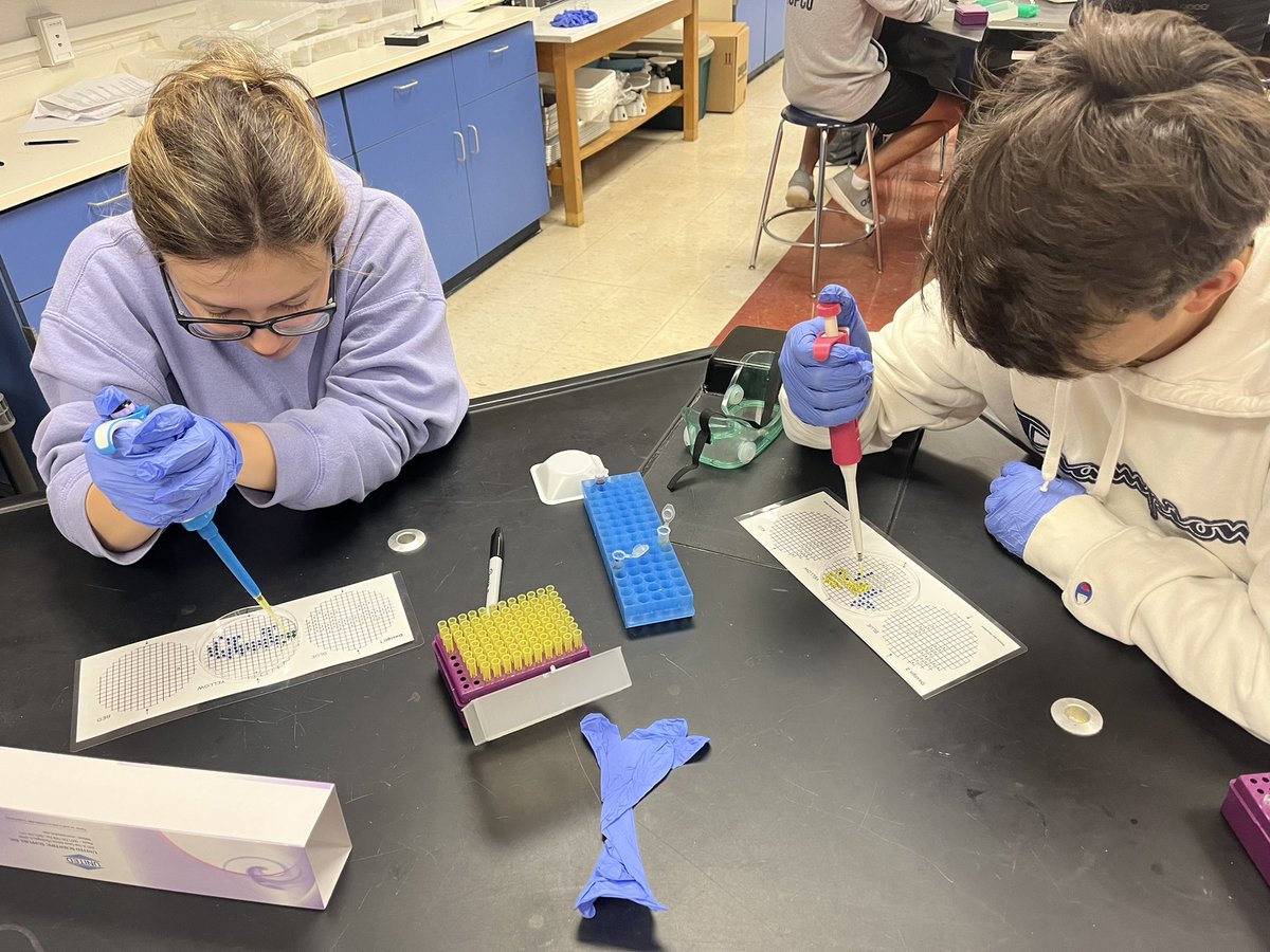 Today SHS science students are practicing micro-pipet skills! These are some steady hands!
