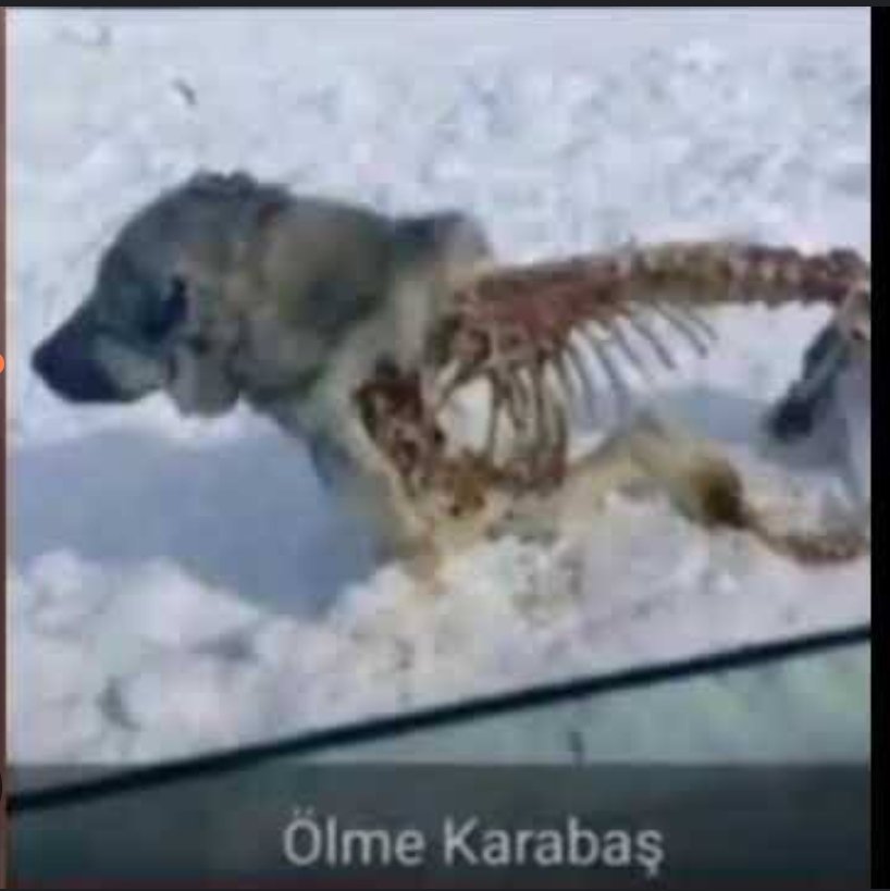 Sam (@seeckinn) on Twitter photo 