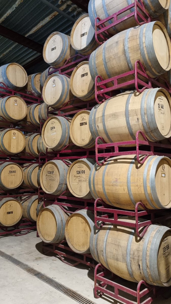 vino_piedras's tweet photo. 3⃣ La bodega @HACIENDAMOLLEDA está diseñada en dos niveles, de manera que en el proceso de elaboración del vino se aprovecha la gravedad. Su arquitectura nos recuerda al mudéjar y las vistas desde la terraza son de las más espectaculares de la #DOPCariñena

#SomosCariñena https://t.co/Sr9wGo2N4W