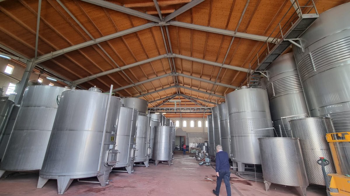 vino_piedras's tweet photo. 3⃣ La bodega @HACIENDAMOLLEDA está diseñada en dos niveles, de manera que en el proceso de elaboración del vino se aprovecha la gravedad. Su arquitectura nos recuerda al mudéjar y las vistas desde la terraza son de las más espectaculares de la #DOPCariñena

#SomosCariñena https://t.co/Sr9wGo2N4W