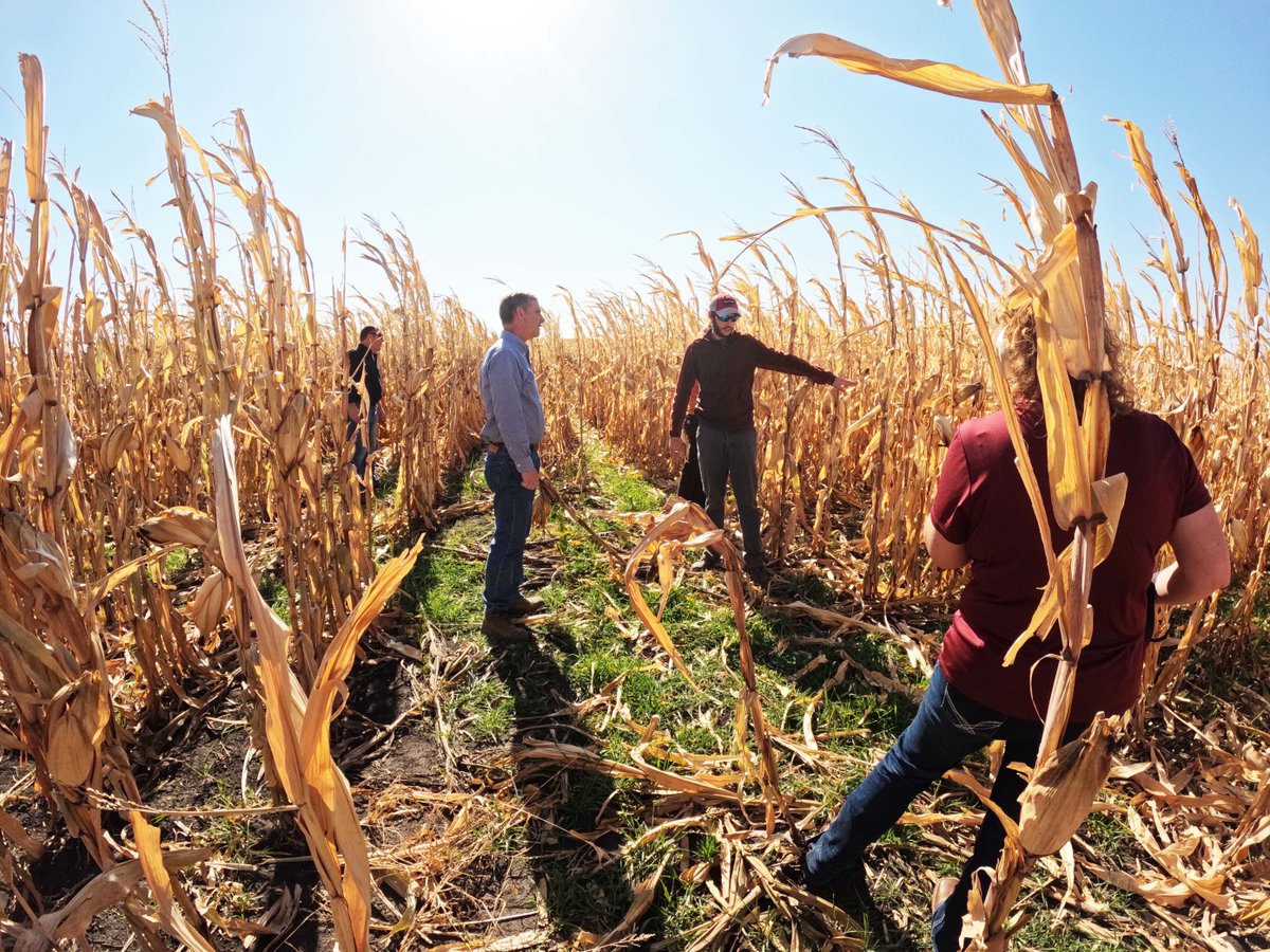 DSMH2O's tweet photo. Collaboration with like-minded partners is part of our #thinkdownstream mission. One example is the #centraliowa #covercropseeder project. #DMWW CEO/GM Ted Corrigan met with Heartland Co-op to see where cover crops were planted this fall to improve water quality downstream. https://t.co/4wRCREljEV