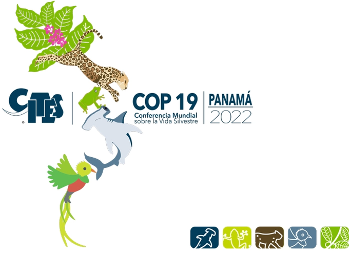 CICTMAR's tweet image. #Oct27 DYN that in the next CITES COP 19 will be discussed several resolutions and documents related with sea turtles, freshwater turtles and terrestrial turtles? Regarding sea turtles, check: cites.org/eng/cop19https… and 
cites.org/sites/default/…  1/2