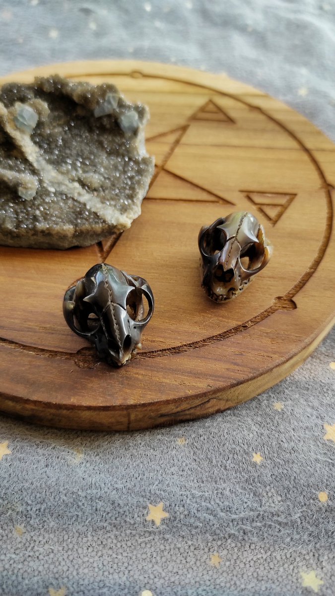 🎃 HALLOWEEN SPECIAL SALE 🎃

Cat skull pendant
hand carved from antler/horn💀
Will be attached to a black leather cord

Black cat skull size M 
SPECIAL PRICE 108k

Black cat skull size S 
SPECIAL PRICE 80k

(Shipping price is not included yet)

DM us to purchase 🖤