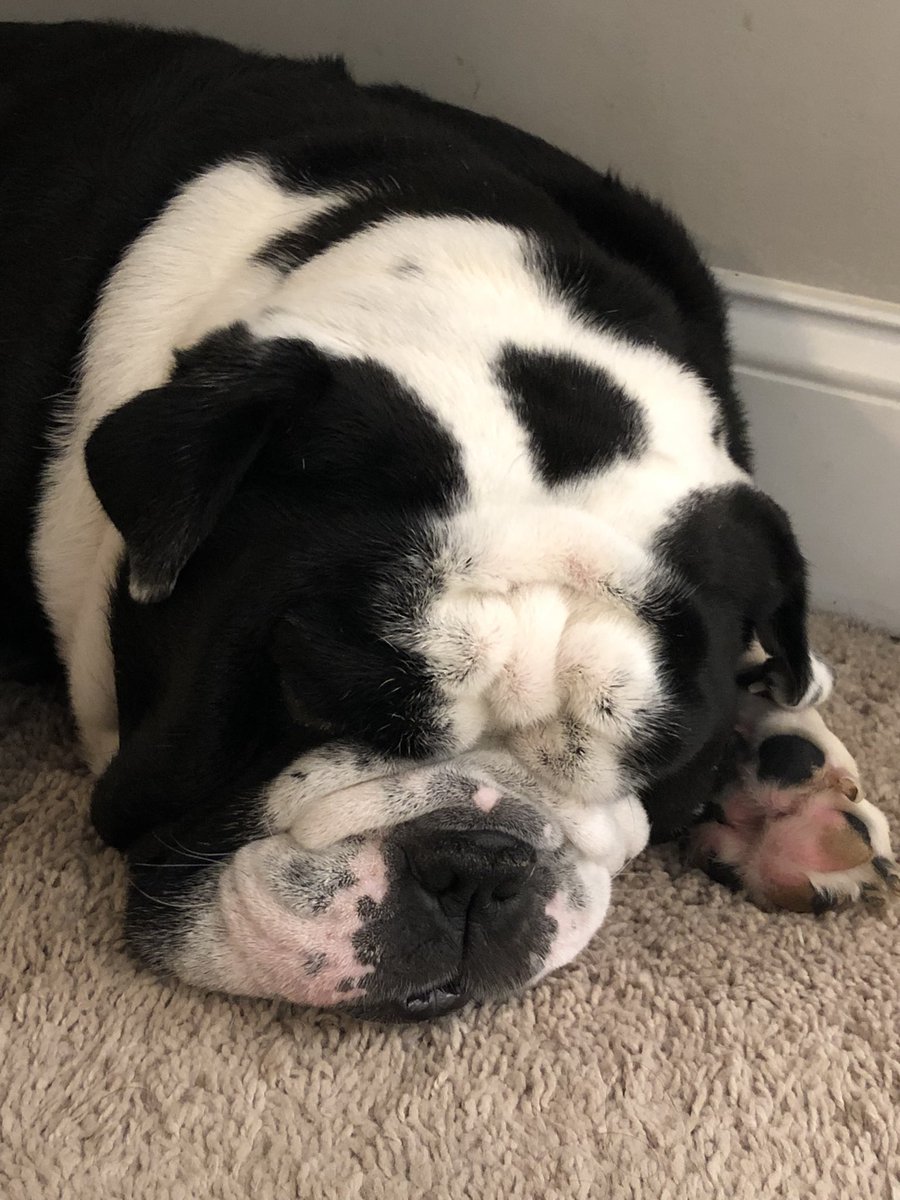 Jeff Thatcher tweet media