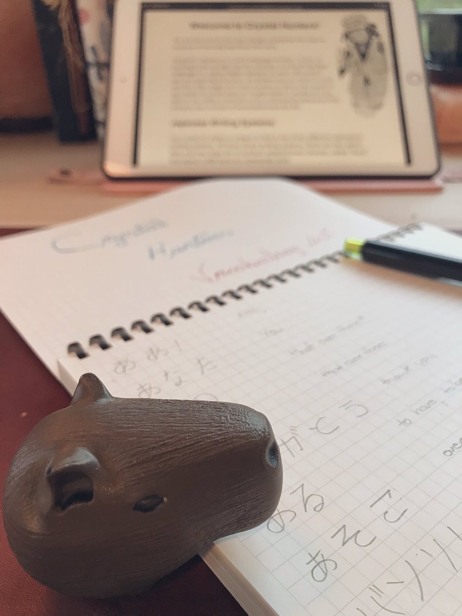 CapySkull's tweet image. I better learn this verbs, @crystal_hunters book #6 is coming 🥔⚔️ 🫶 
#Capybara is a #mangalover #learning #にほんご