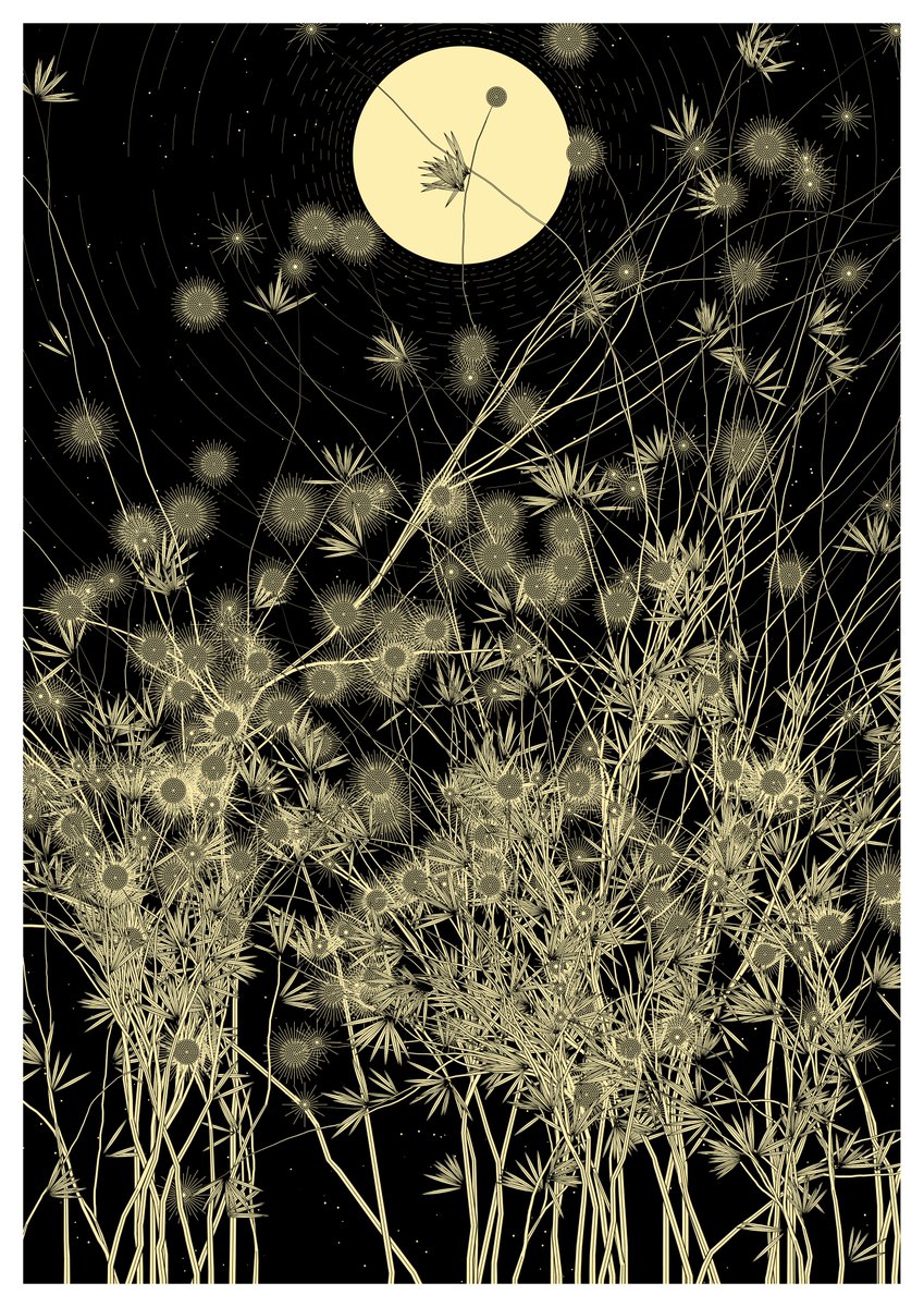 Today’s 🖼
-
#svg #generativeart #nature