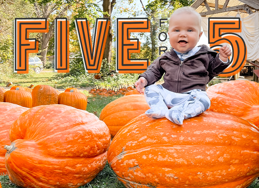 idealabmktg's tweet photo. As you head into Halloweekend, Baby Banks offers 5 tips for a truly Happy Halloween: https://t.co/SwjerjCecQ
👶🏼🎃
#FiveFor5
#HalloweenFun
#GreatPumpkin https://t.co/TbtoM6jenE