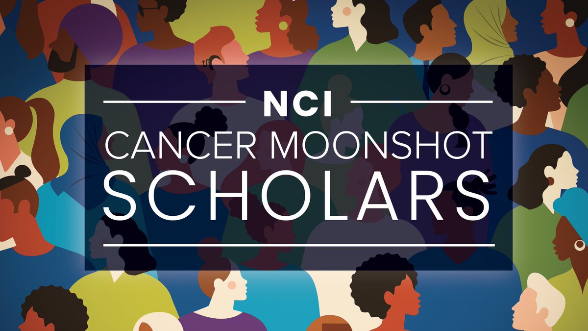 🗣️ The #CancerMoonshot Scholars program seeks to diversify @theNCI R01 portfolio and intends to support *45 new R01s* over the next three years. Find out if this program can support + apply by November 8. 🔗 cancer.gov/moonshotschola…