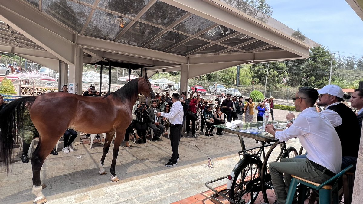 Gracias a la gran infraestructura ecuestre, propiedades con criaderos de caballos y gente que practica esta actividad, Cuenca ha sido declarada “Destino Turístico Ecuestre del Ecuador”.

La ciudad está preparada para recibir este tipo de eventos e iniciativas privadas🐎🐎