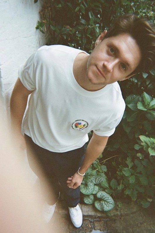 comfort for niall stans tweet media