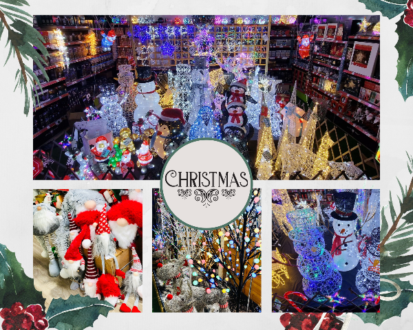 Stunning garden colour &amp; festive displays - we have lots to discover this month  - mailchi.mp/7a60d117fbfb/g…