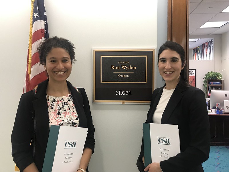 ESA_org's tweet photo. Are you a science graduate student interested in the intersection between policy and science? Apply for the 2023 Graduate Student Policy Award #gspa2023

Details &amp; apply here: https://t.co/qERG7X2Sd5 https://t.co/NOCJ6Ff4DO