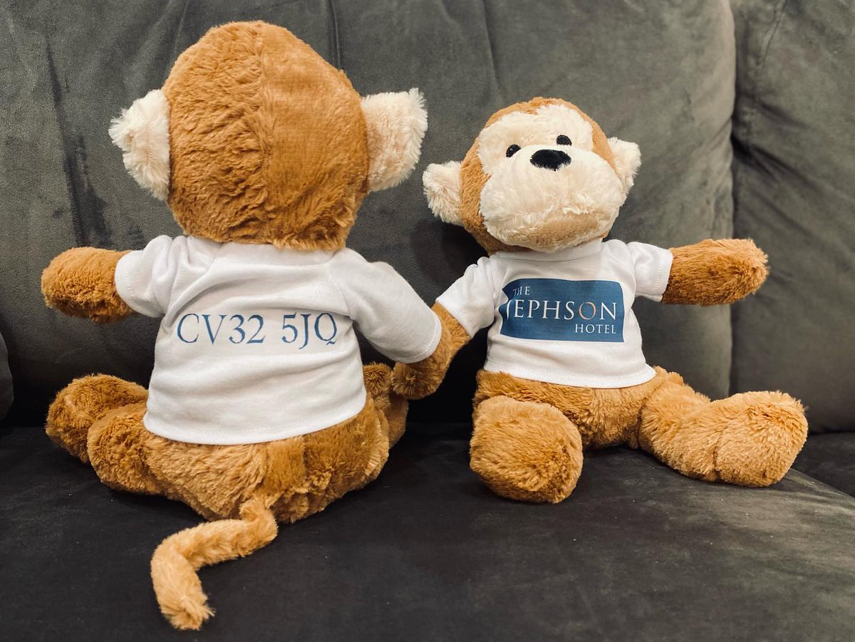JephsonThe's tweet photo. Say hi to our new mascot! We’d like to introduce you to Jephson’s Monkey! 🙉🙊🐵
Give our Monkey new loving home - this little guy is available to purchase at reception for just £8.00 🐒 
#jephsonsmonkey #jephsonhotel #leamingtonspa #loveleam #warwickshire #warwick #thejepshon https://t.co/xpIaDi5TCT
