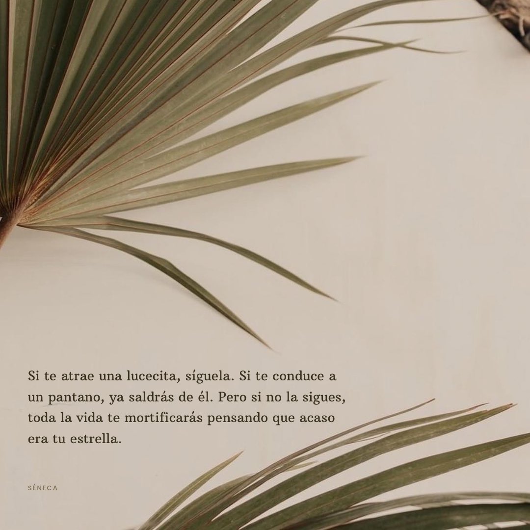 Shalom Rojas (@shalomrojas72) on Twitter photo 