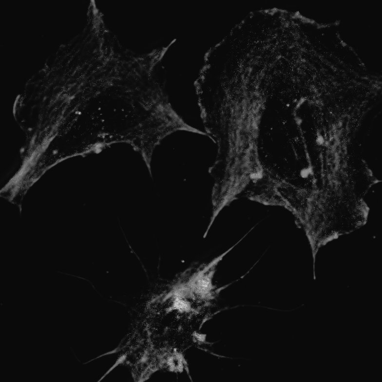 Smita Patil tweet media