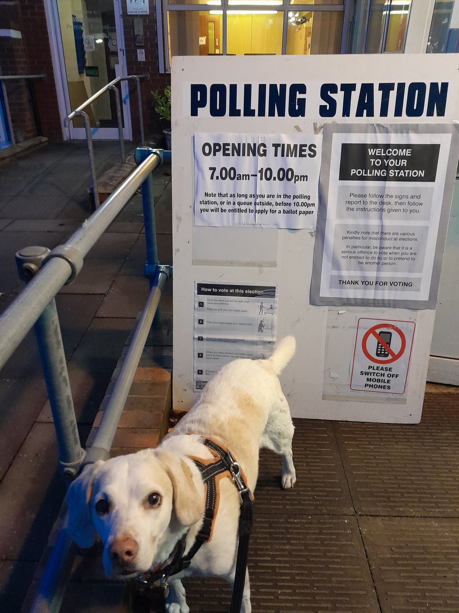 bevkstevens's tweet photo. Luco came to help vote today #dogsatpollingstations #beagle https://t.co/X0XTb98yIa