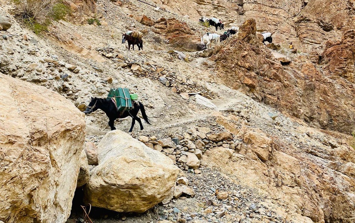 overlandescape's tweet photo. Phuktal Monastery or Phuktal Gompa is a Buddhist monastery located in the remote Lungnak Valley in south-eastern Zanskar, in the Himalayan region of Ladakh, in Northern India; now it is located on the newly opened Padum to Darcha road. It is one of the only Buddhist monasteries https://t.co/WMEXdHblNB