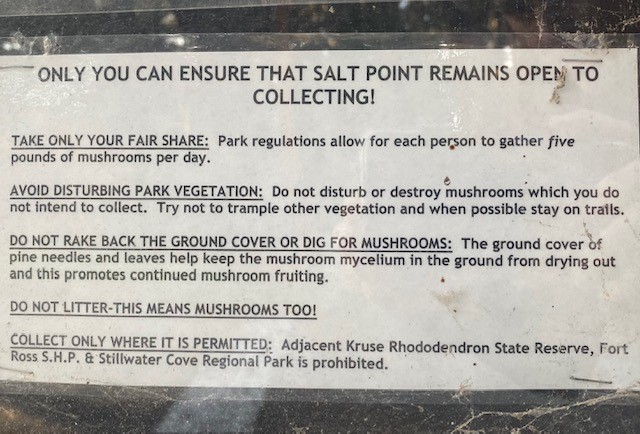 francescavietor's tweet photo. Two facts about #SaltPointStatePark: #SFStreets and #SFbuildings are made of #sandstone from Salt Point & the mad mushroom rush is straining the only SP that allows #mushroom gathering. Read @SFGate https://t.co/DK9yCPG5YR and pls follow rules when you are out #foraging!
15/279 https://t.co/vOUiHrs4WG