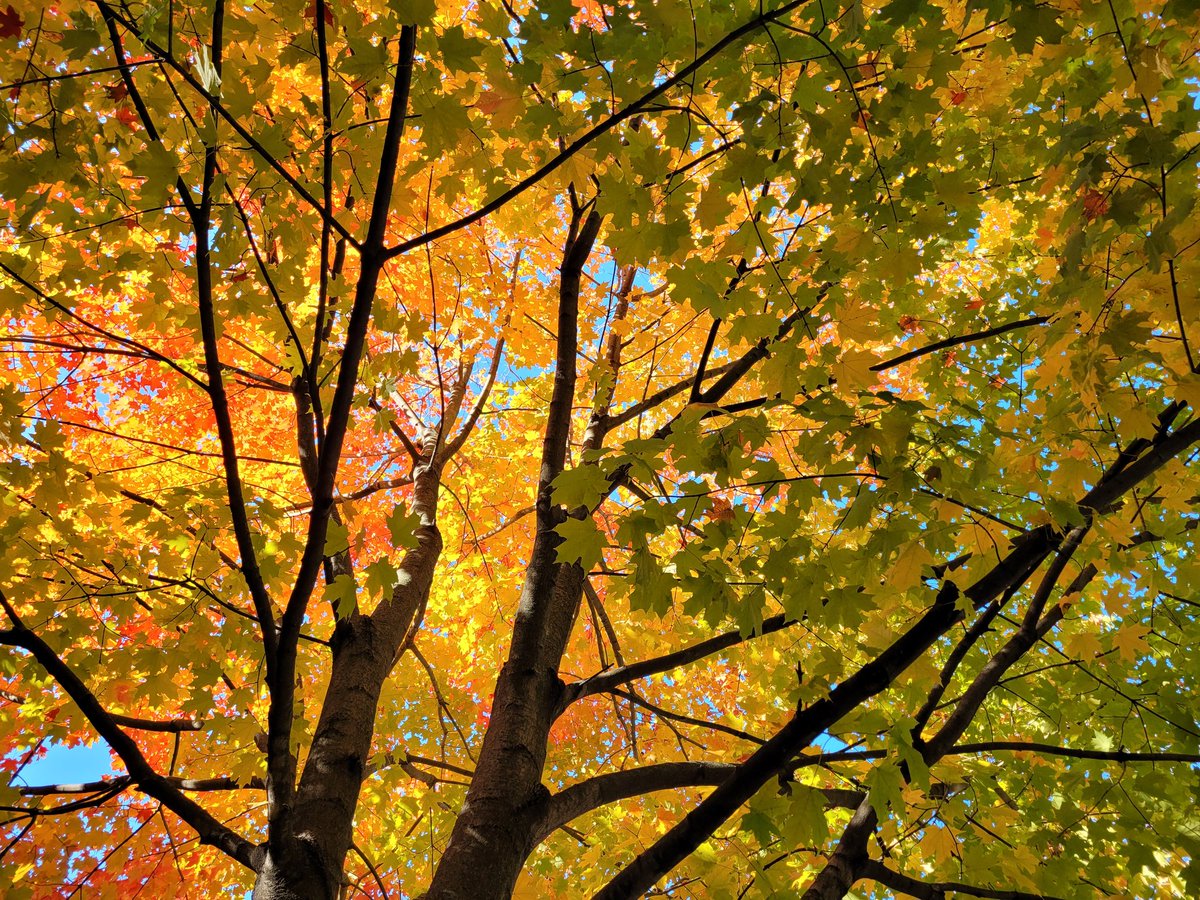 tellitsisterny's tweet photo. New post on my blog ✨️ https://t.co/xl6WjL1zcv
#writer #writersoftwitter #writerscommunity #writerslife #blogger #bloggerstyle #nyblogger #entertainment #AutumnVibes https://t.co/J5nPWVRAgn