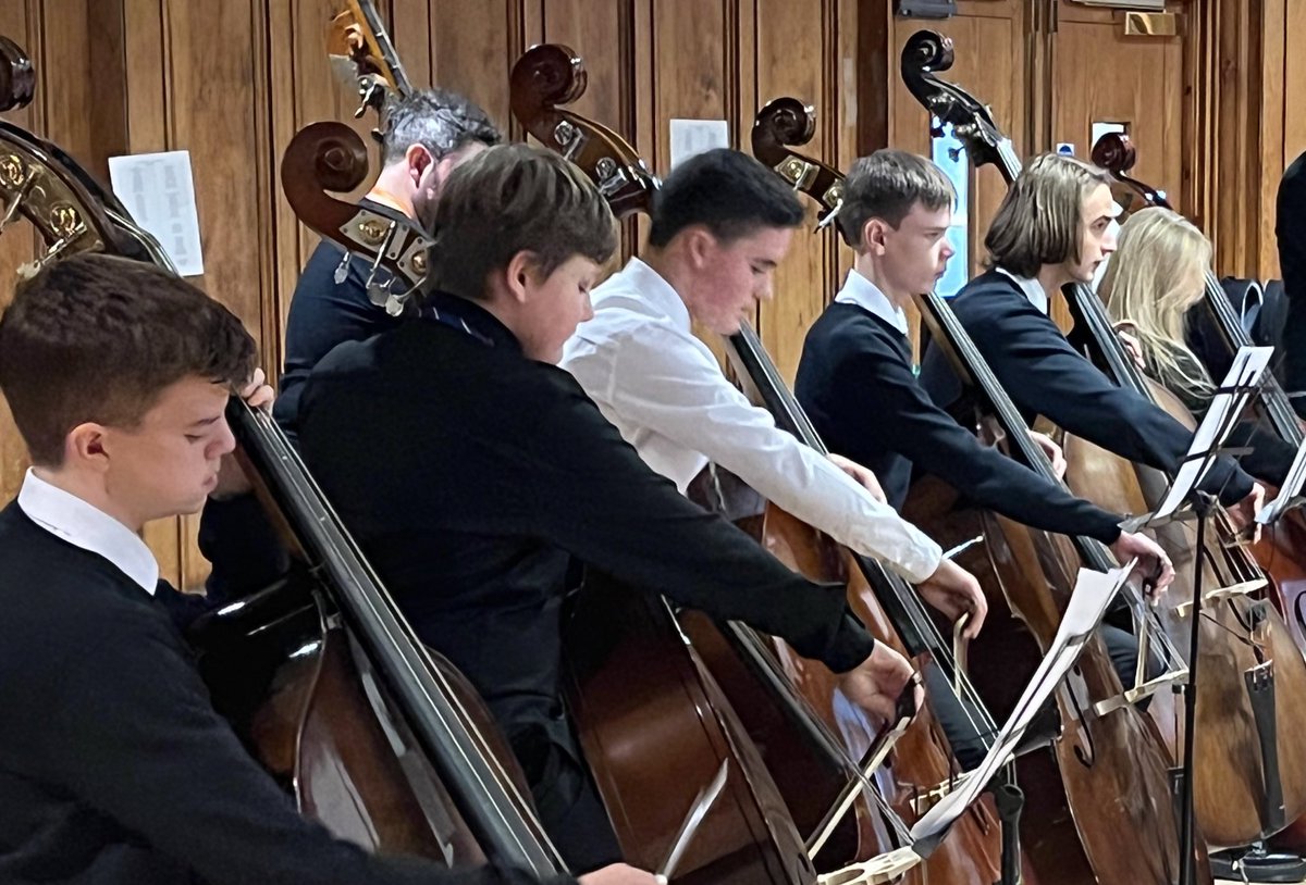 The Benedetti Foundation tweet media