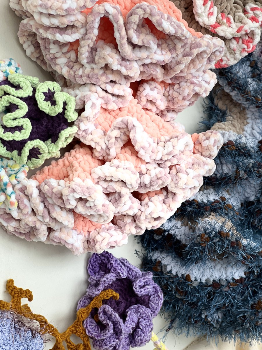 Deby from Aieka Hand Woven Elements is making these exquisite, crocheted reef sculptures for our new Coral Reef station! Check out more of her amazing creations at aiekaelements.com

Learn how YOU can support Coral Reefs during intermission at Ocean Filibuster!🎟️Tix in bio!