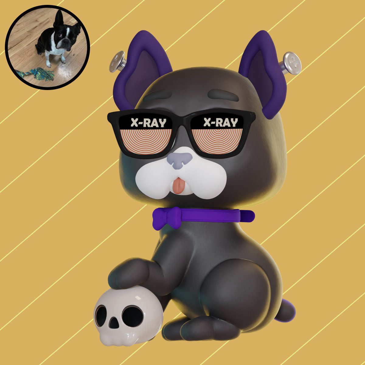 msutton81's tweet photo. @MoonPets_NFT @badseedsnft @Cecymeade #669 Mac is being a #BadPet by looking at all the girls with X-ray glasses! #dNFTs @badseedsnft @MoonPets_NFT https://t.co/9gqXlQGrsH