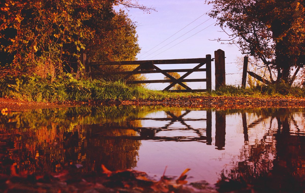 No doubt that #autumn #fall is in full swing now. @ThePhotoHour #countryside #reflections