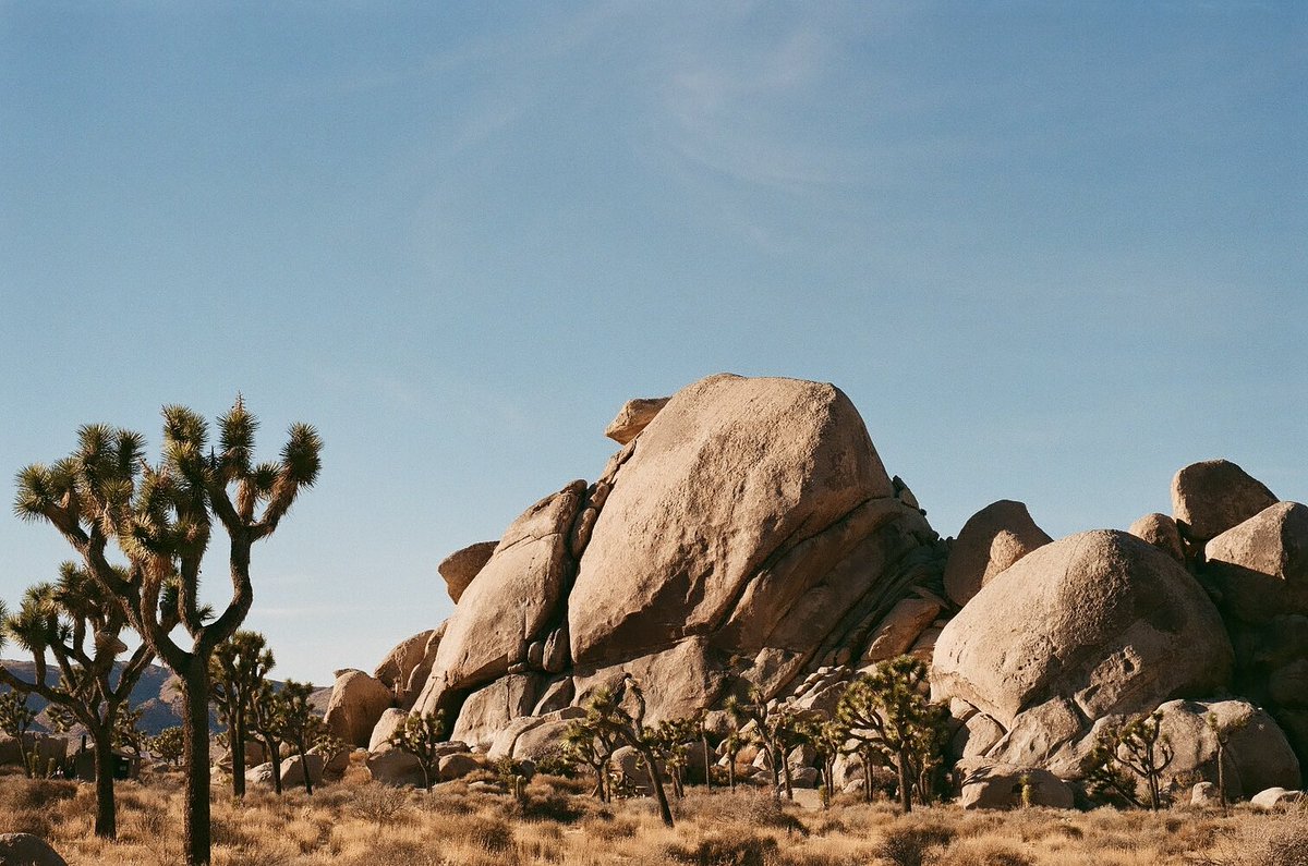 _robertojohnson's tweet photo. Headed out to JT today for the first time in what feels like forever, so here’s an obligatory film dump from my last trip circa January 2021 🚛 https://t.co/wzUET736BD