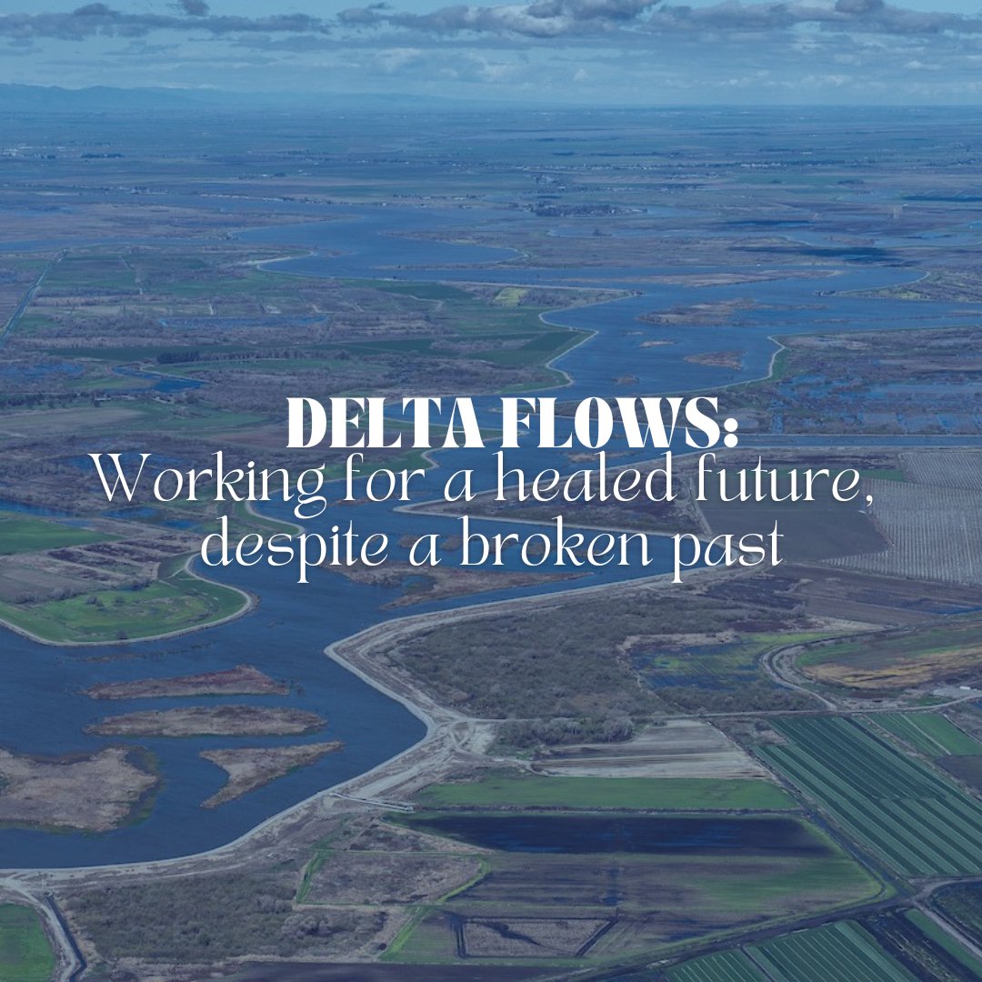 RestoretheDelta's tweet photo. New #DeltaFlows: Working for a healed future, despite a broken past. Catch a recap of our two-day symposium #WheretheFutureFlows and our observations on the Governance Proposal for #VoluntaryAgreements.
Read more here: https://t.co/XRdr5AJgwF #cawater https://t.co/pjZNN1qs7L