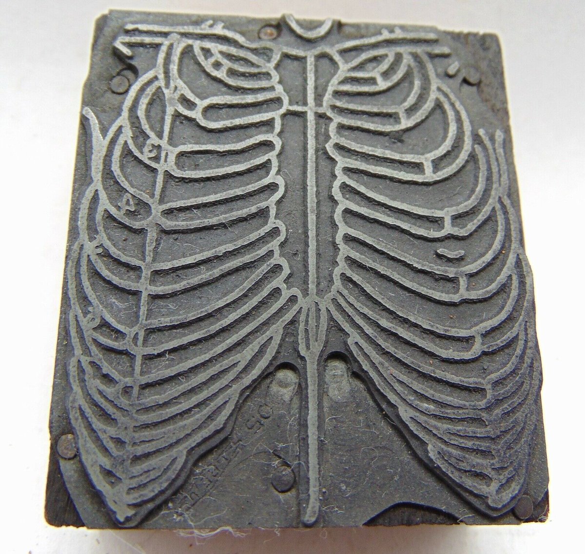 nondescriptes's tweet image. 