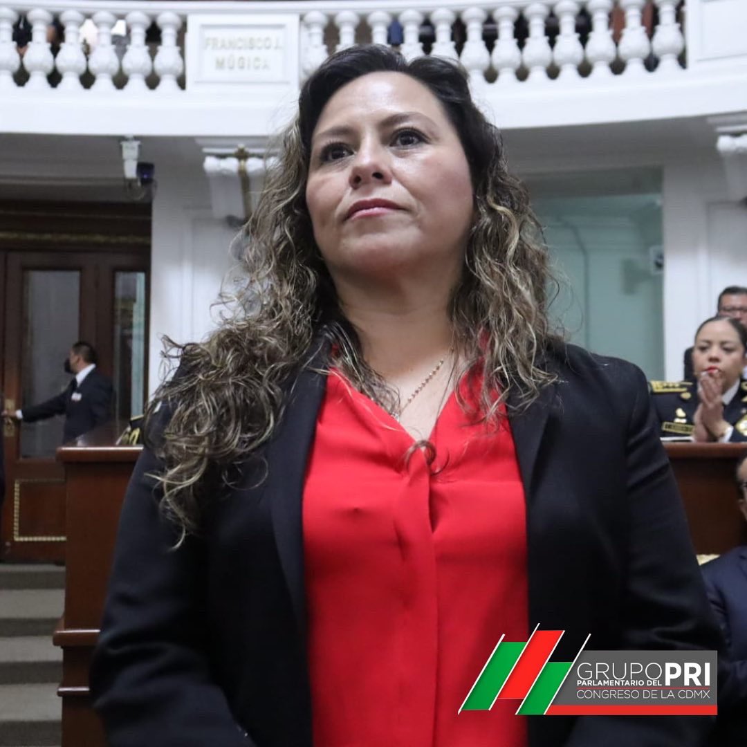 gp_pricdmx's tweet photo. Los diputados del #gppricdmx presentes en la Sesión de Comparecencia de @OHarfuch quien responde los cuestionamientos hechos en el @Congreso_CdMex
#delmanoconlagente https://t.co/dduL5GqS8t