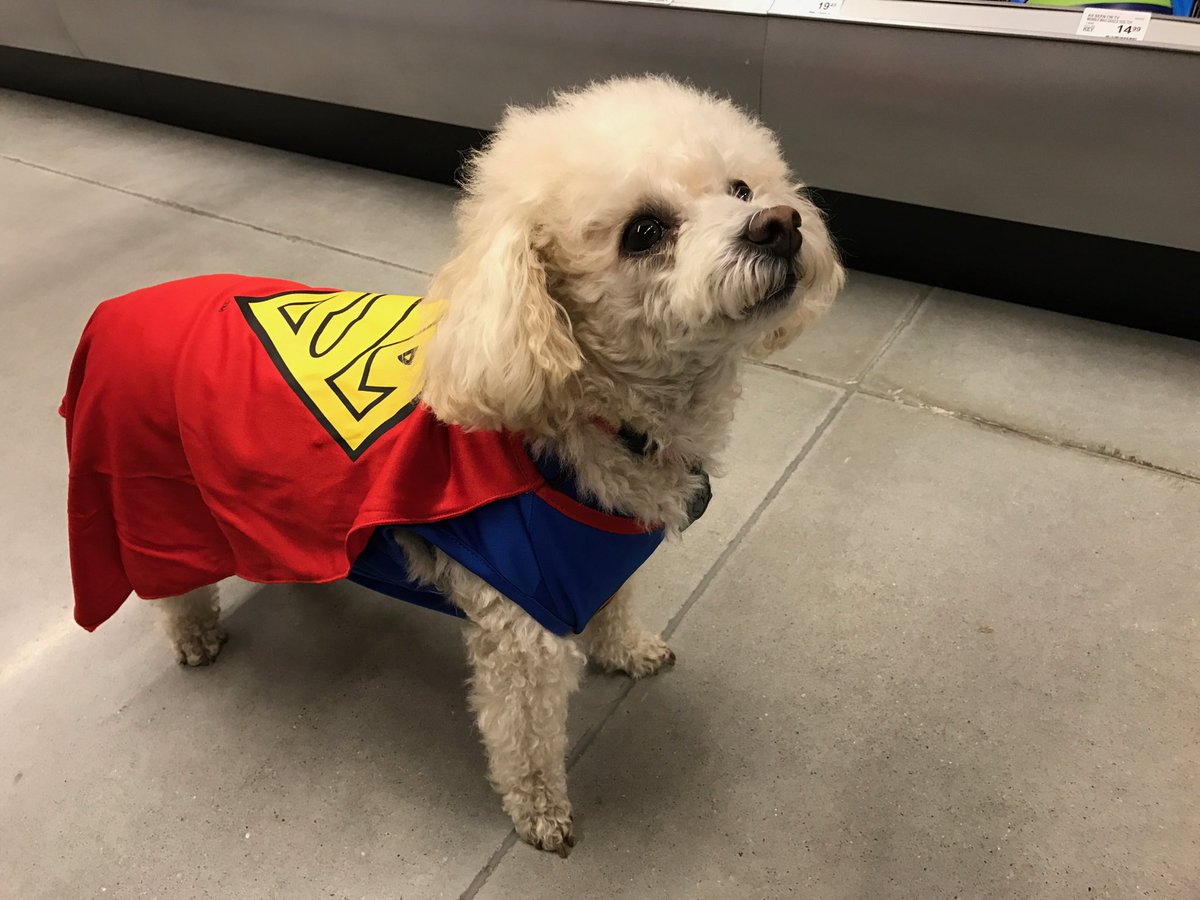 AllHypedThings tweet media