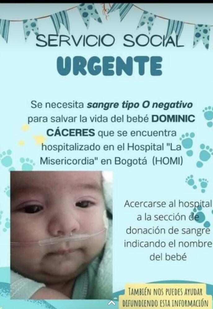 Juan tweet media