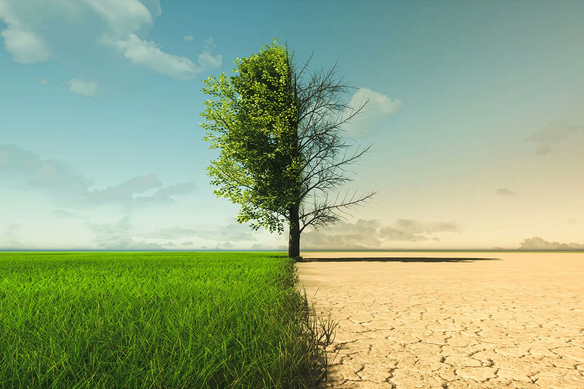 merneovine's tweet image. Does evapotranspiration increase or decrease during droughts? The answer is not straightforward! We found that evapotranspiration increases in 44% of drought months. Models underestimate this by a half. Plant and soil structure are the causes. Read here rdcu.be/cYpAV